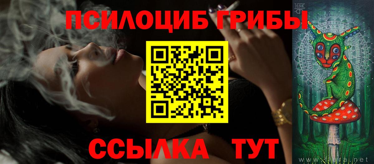 Псилоцибиновые грибы Magic Shrooms  Псилоцибиновые грибы GOLDEN TEACHER  Можга  Вход с VPN 